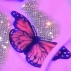 Meet your Posher, Marissa